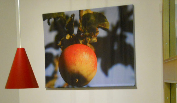 ALU-RÖR till kanalvepor