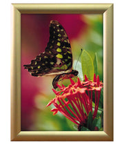 Snapp-Ram, vägg, 25 mm profil - Guld