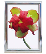 Snapp-Ram, vägg, 25 mm profil - Krom