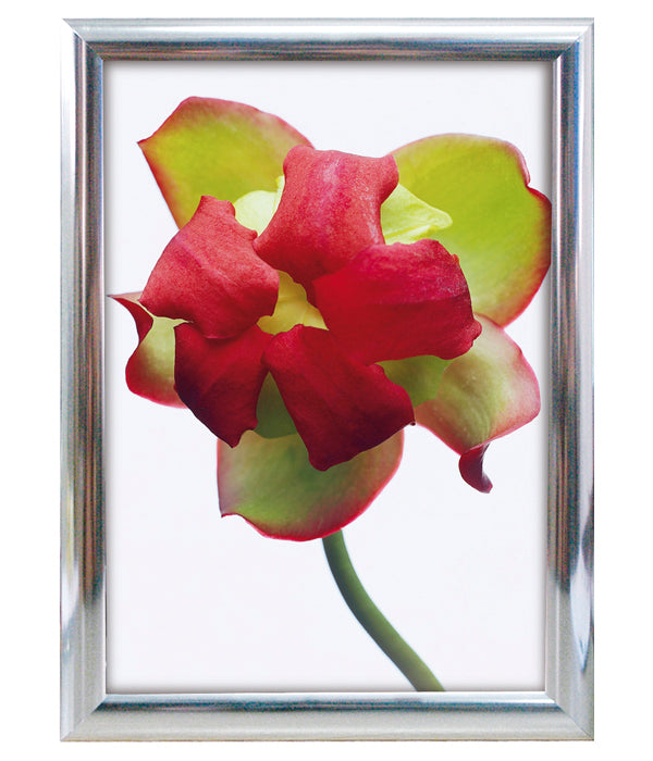 Snapp-Ram, vägg, 25 mm profil - Krom