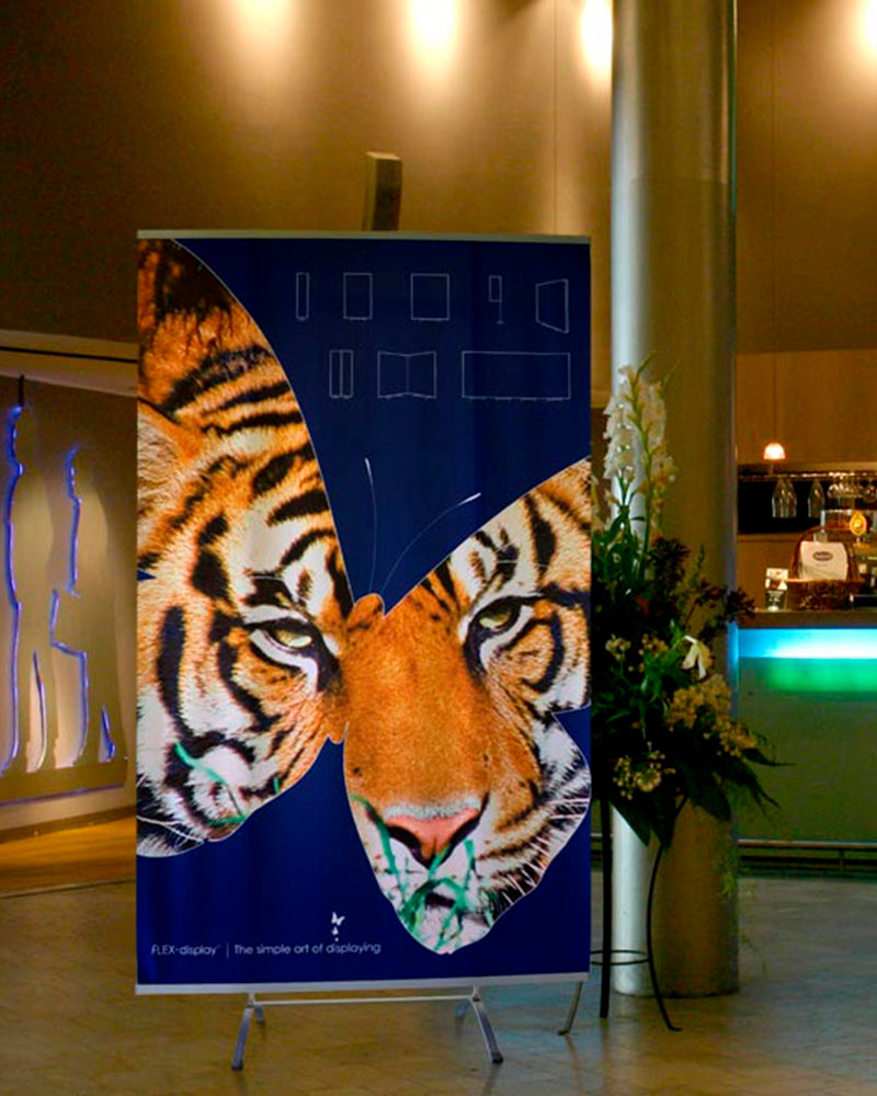 Flex-display, Twin Base