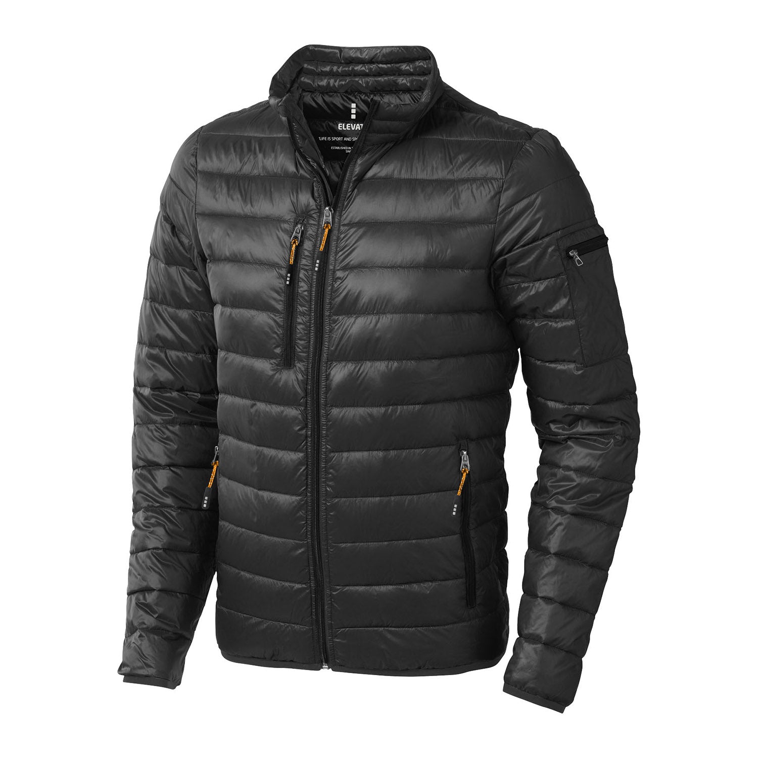 Scotia lättvikts dunjacka män