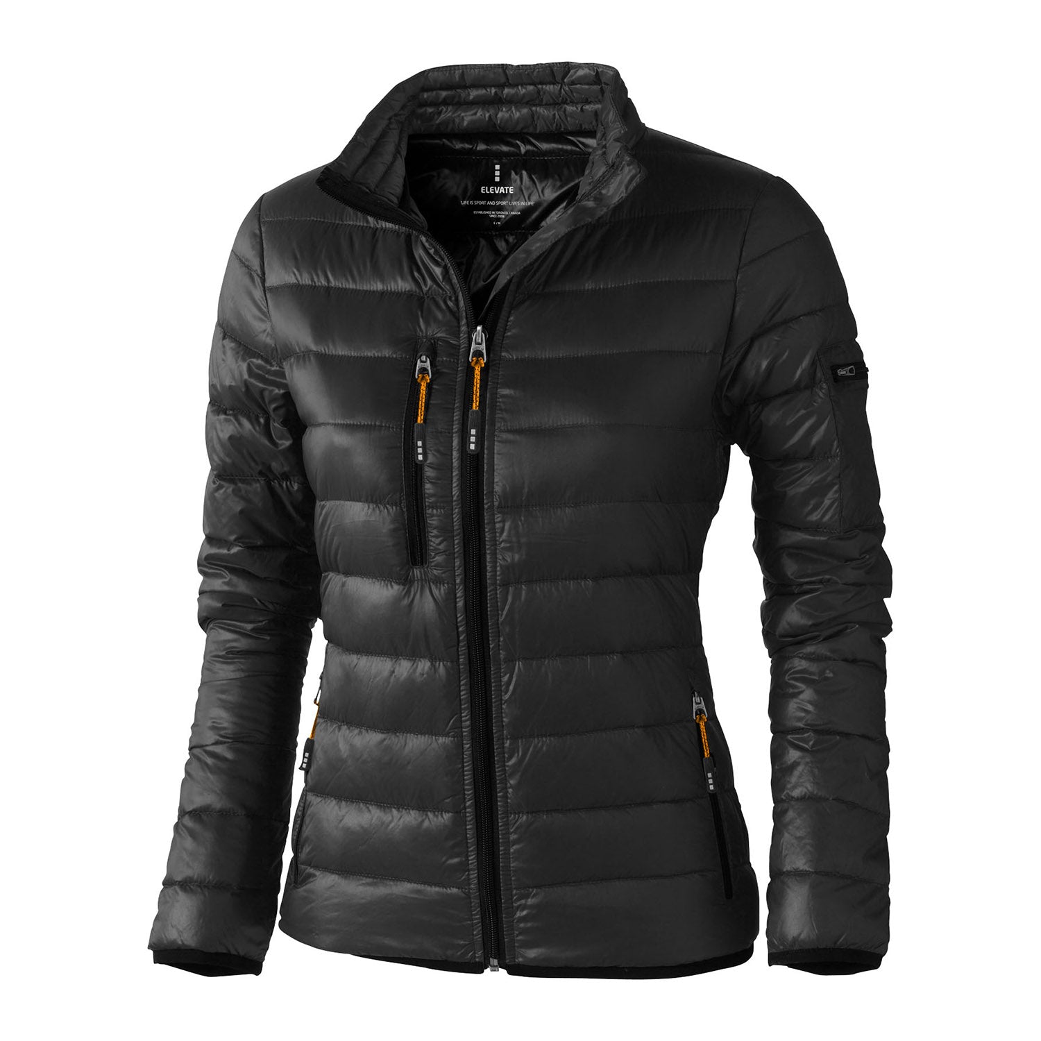 Scotia lättvikts dunjacka dam