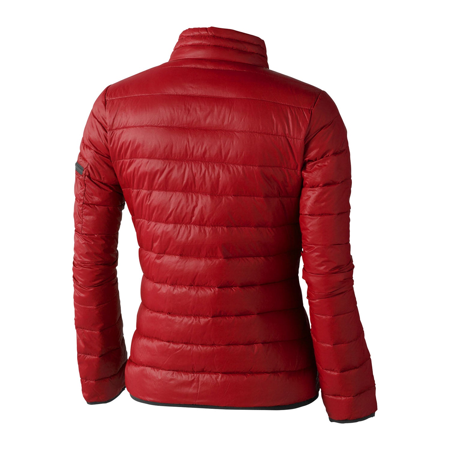 Scotia lättvikts dunjacka dam