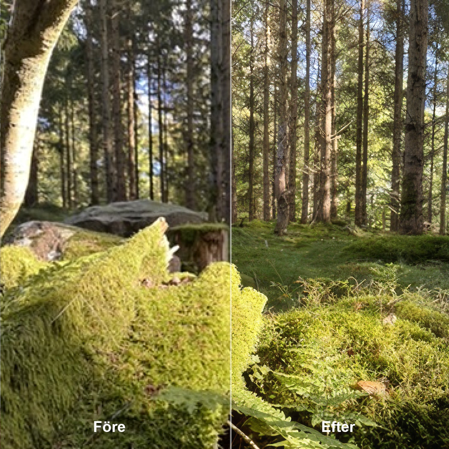 Bildoptimering för Stortformat