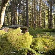 Bildoptimering för Stortformat